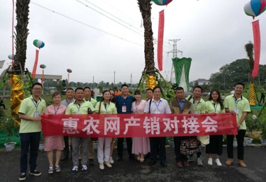 2017漢壽蔬菜網(wǎng)上采購(gòu)節(jié)