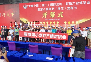 2017監(jiān)利、潛江小龍蝦網(wǎng)上采購(gòu)節(jié)