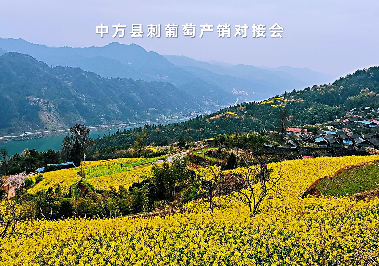 湖南省中方縣刺葡萄產(chǎn)銷對(duì)接會(huì)